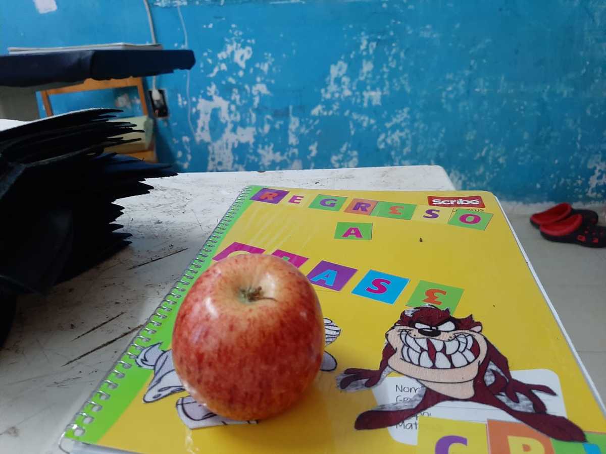 Regreso a clases en Guanajuato (Foto Jannet Ruiz)