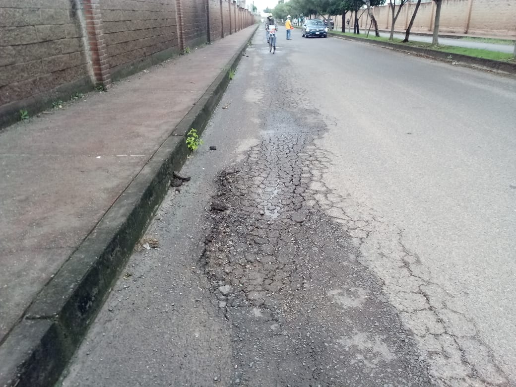 Comienza rehabilitación del camino Alfaro