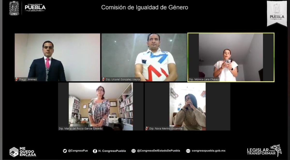 Comisión de Igualdad de Género en sesión virtual. (Especial)