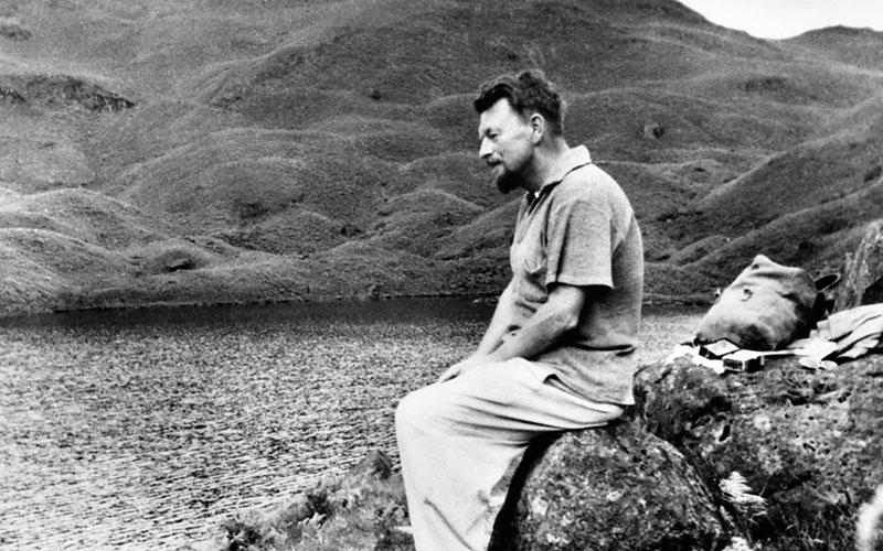 La novela del autor británico sigue inspirando a jóvenes escritoras y escritores. (Especial)