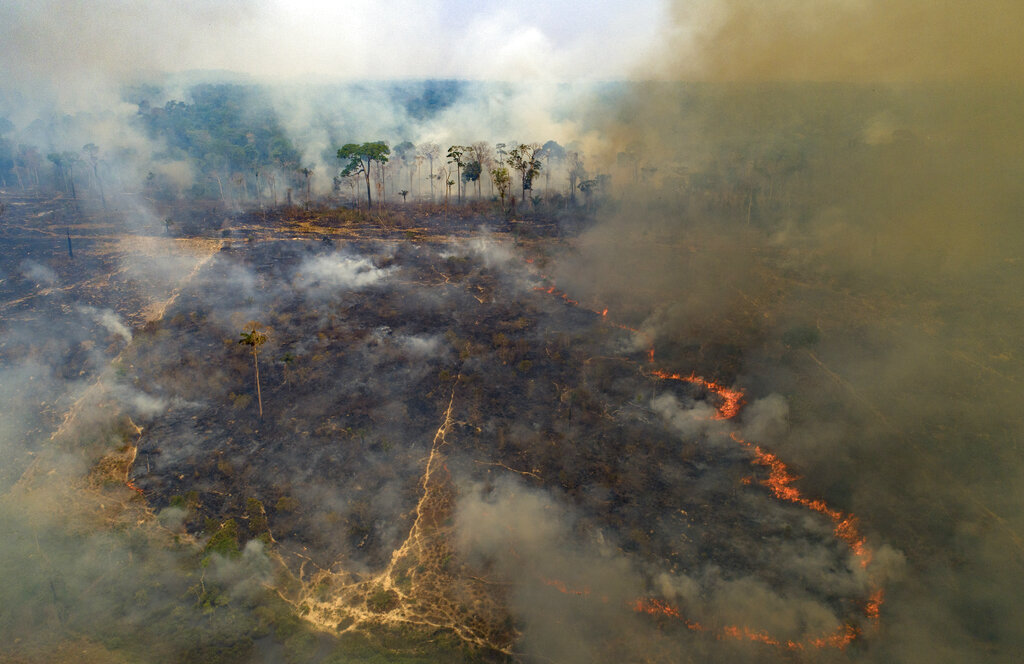 La deforestación en el Amazonas ha marcado récords en a gestión de Jair Bolsonaro. (AP)