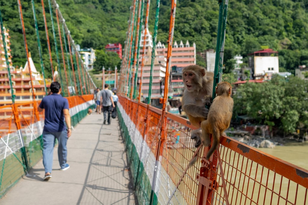 El puente Lakshman Jhula se hizo famoso debido al álbum homónimo de The Beatles en 1968. (AFP)