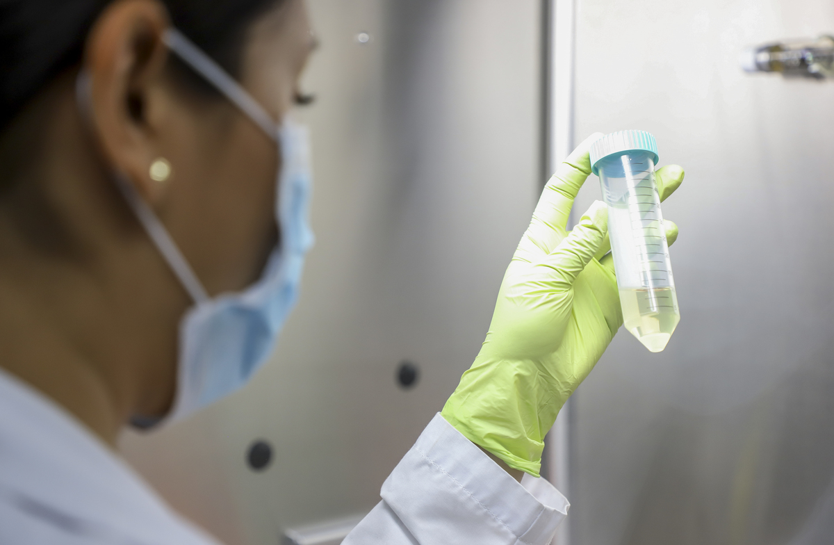 Los investigadores de la UAQ no utilizan el virus vivo, sino que trabajan con la secuencia genómica del SARS CoV-2 | Especial