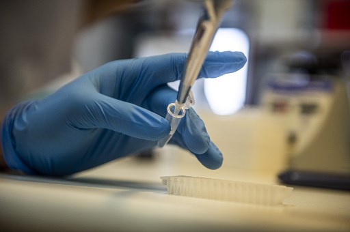 Vacuna Oxford y Astrazeneca inicia pruebas masivas. (AFP)