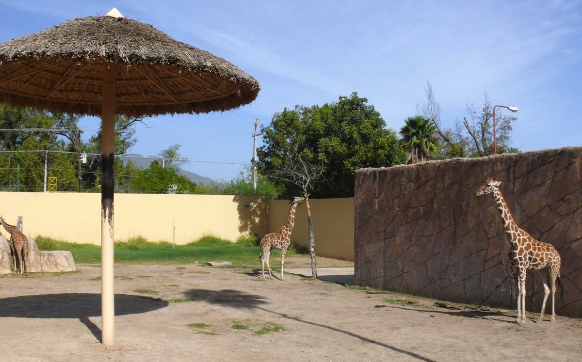 En el zoológico de Tamatán podrán conocer diversas especies animales. (Antonio Hernández)
