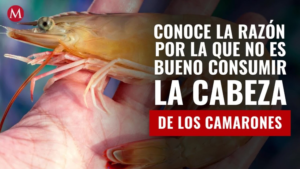 Conoce la razón por la que no es bueno consumir la cabeza de los camarones