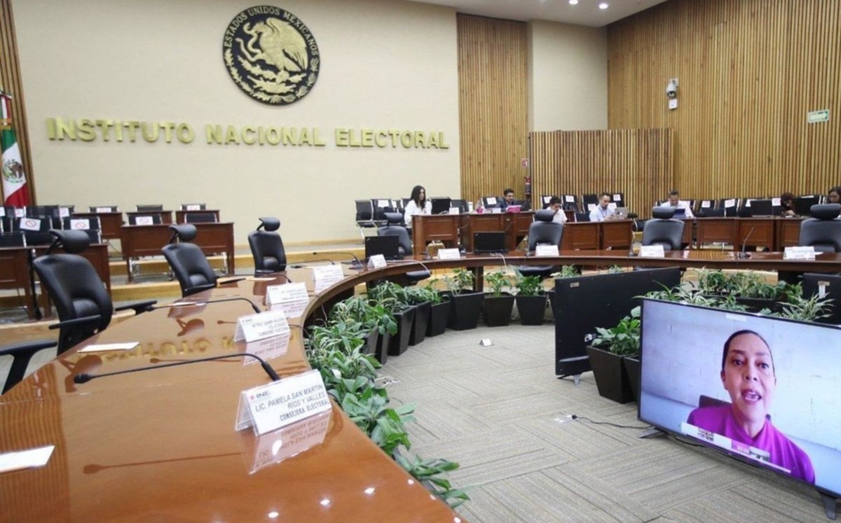 Perfila el INE dar registro a México Libre y batear a Elba
