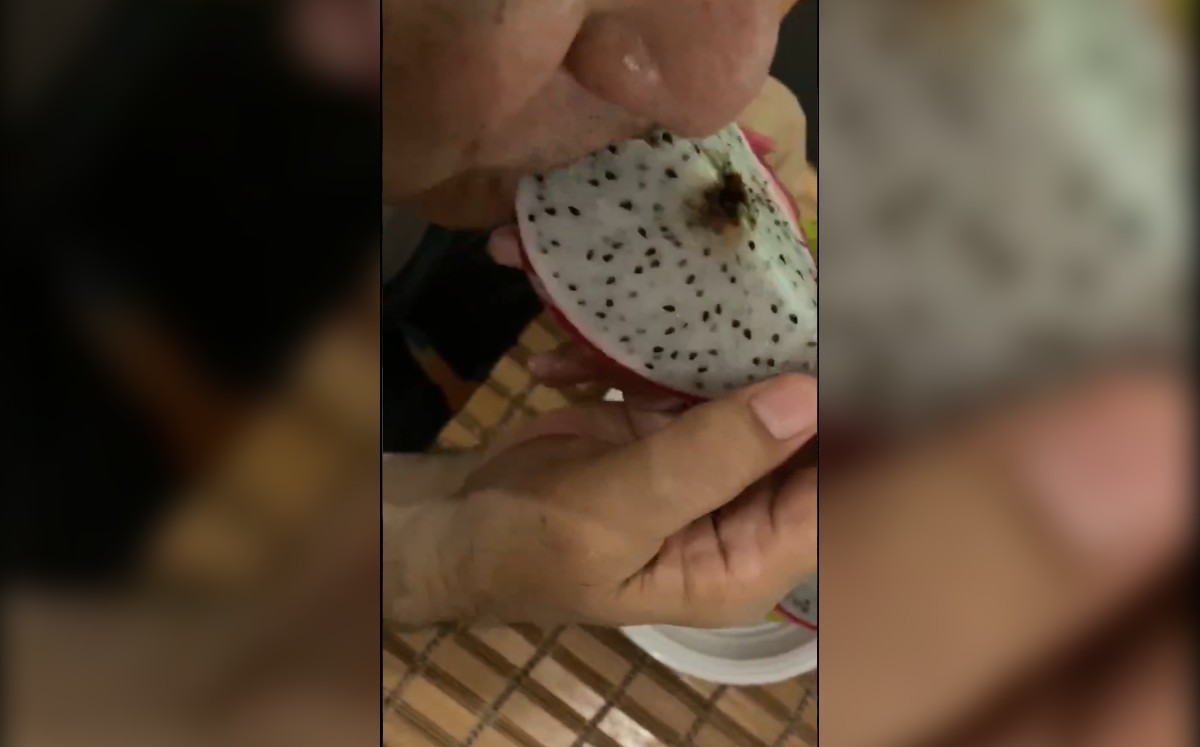 En su video, se observa a López Obrador consumiendo una pitaya y explicó sobre la siembra de esta fruta. (Captura)