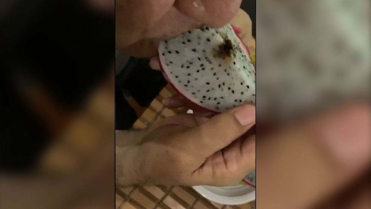 AMLO presume desayuno de pitaya para promover la sana alimentación