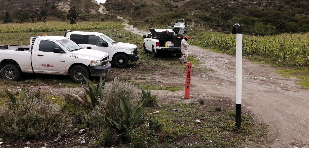 Elementos de Protección Civil Estatal y de la Policía Municipal se movilizaron hasta los campos de labor. (Especial)