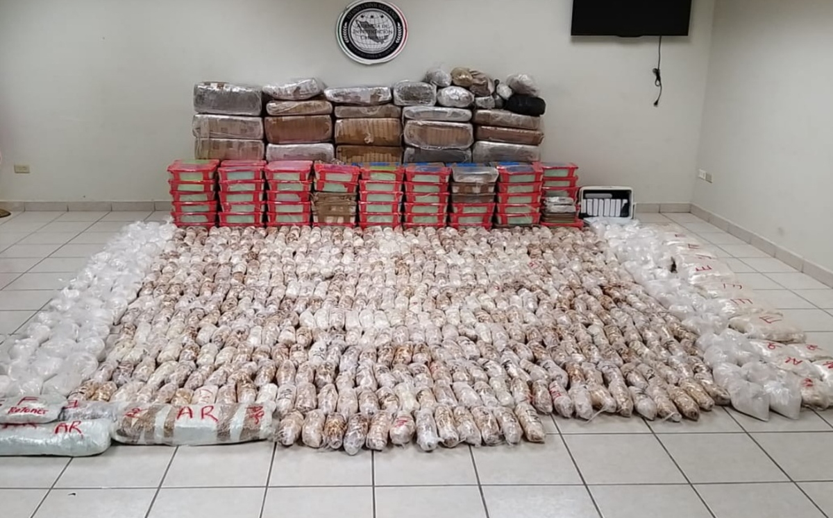 La dependencia aseguró miles de toneladas de droga./ Especial