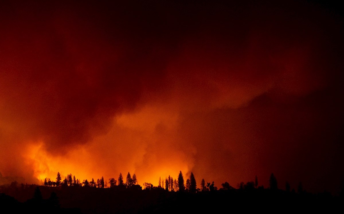 Las llamas se están propagando con gran facilidad a causa de la sequedad del terreno. (EFE)
