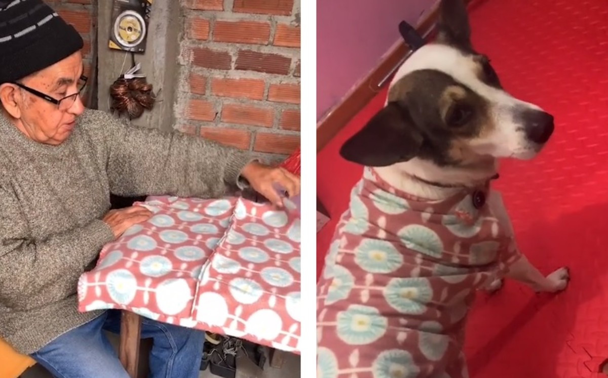 Este gesto de amor ocurrió en Perú. (Captura)