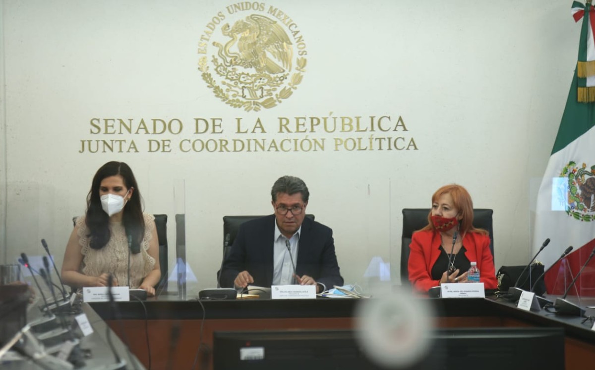 Rosario Piedra comparece en Senado por CNDH. (Juan Carlos Bautista)