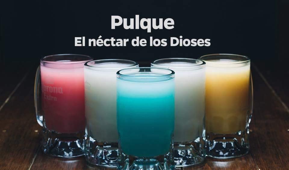 Pulque "El néctar de los dioses"