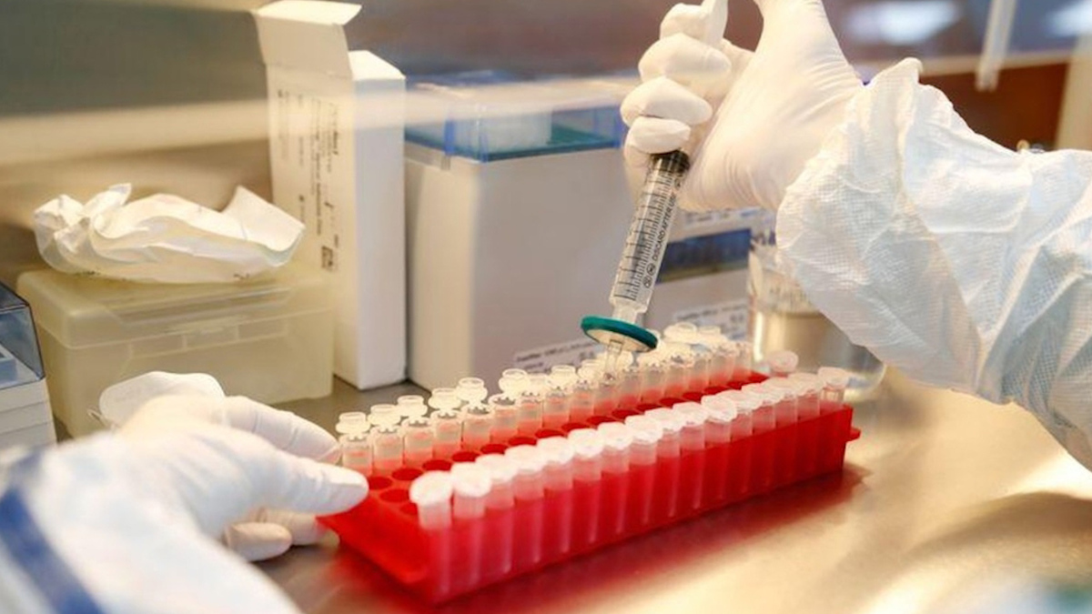 Pfizer y BioNTech buscan ampliar a 44 mil los voluntarios para vacuna contra covid-19
