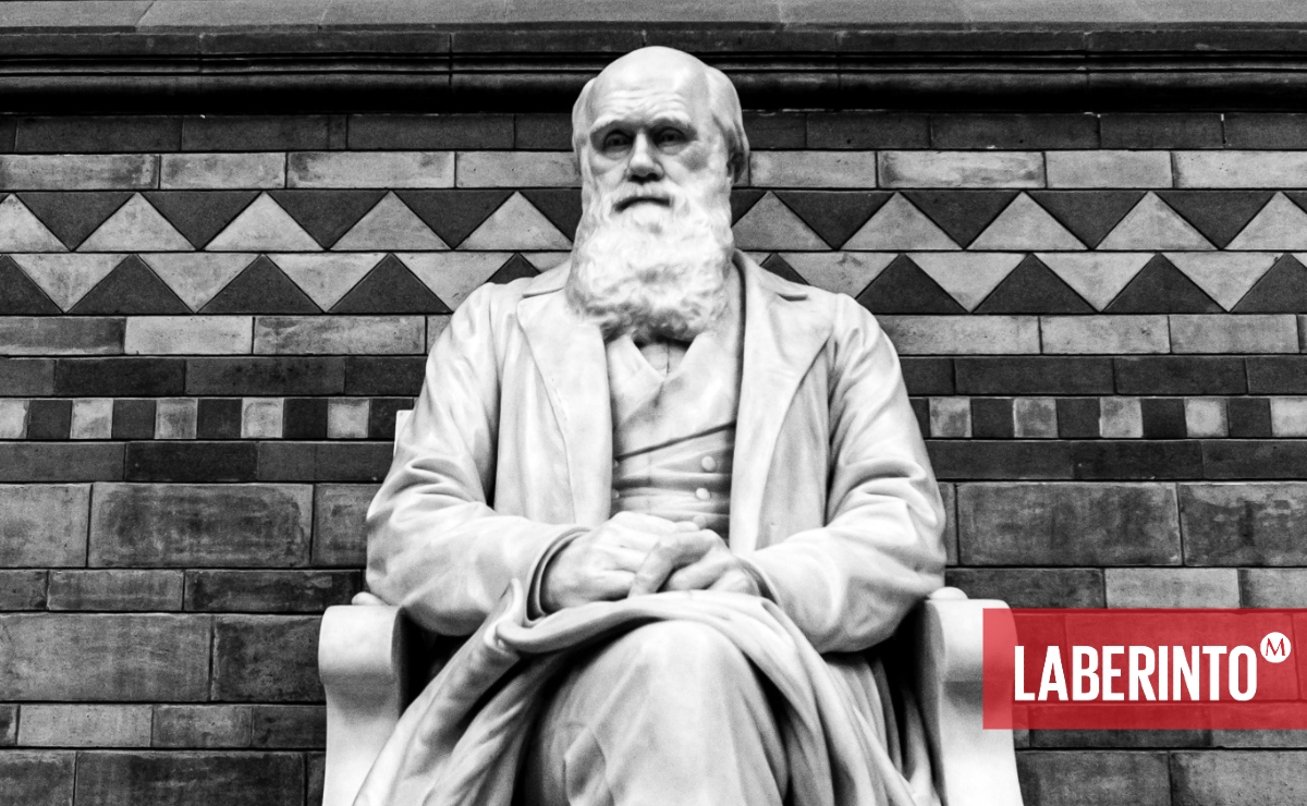 Estatua de Darwin en en Museo Nacional de Historia Natural de Londres. (Foto: Hulki Okan Tabak | Unsplash)