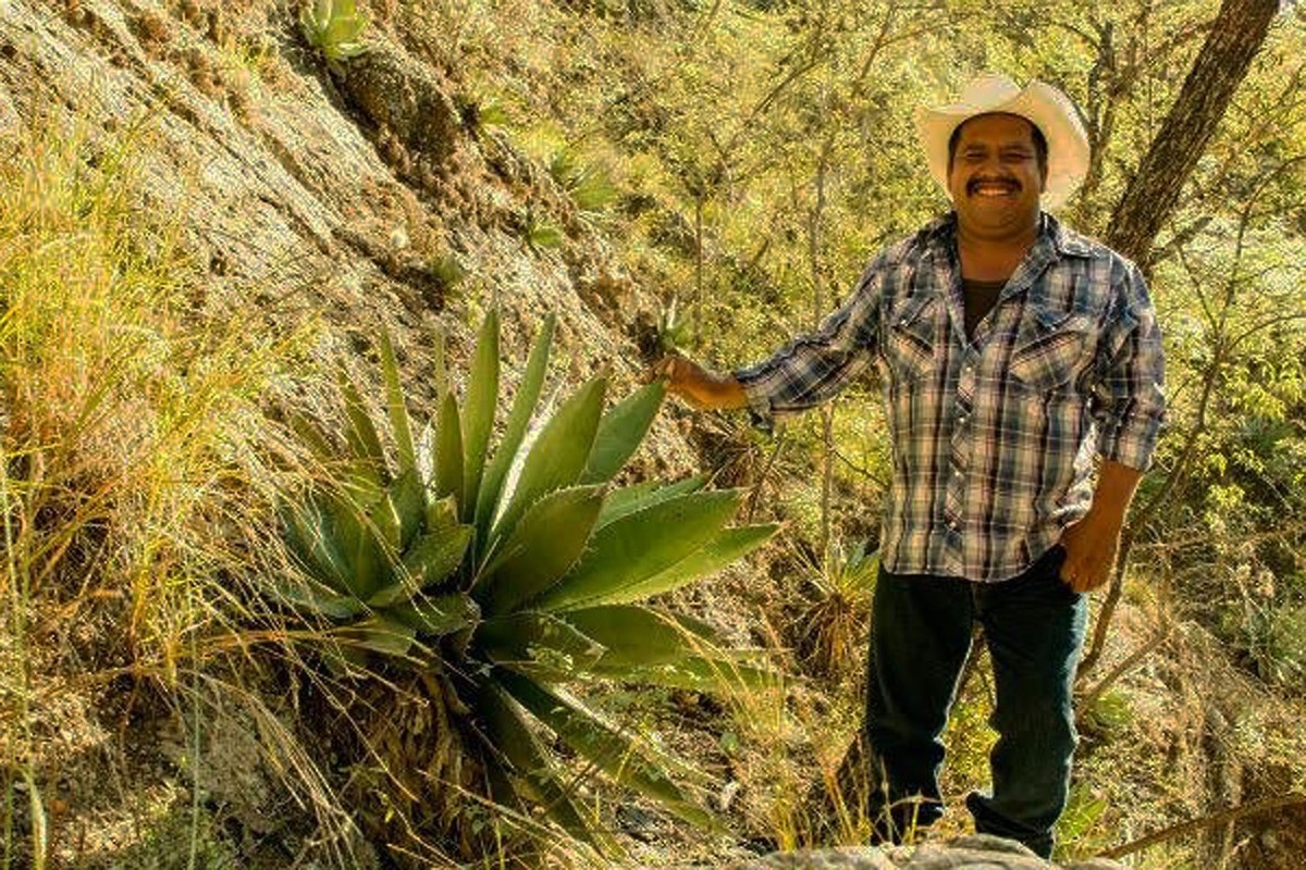 Puebla, se coloca como segundo productor de mezcal. (Especial)