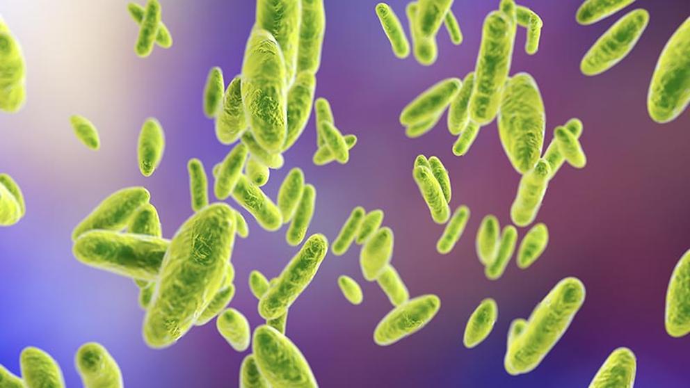 Brote bacteriano infecta a habitantes de China tras fuga de fábrica. (Shutterstock)