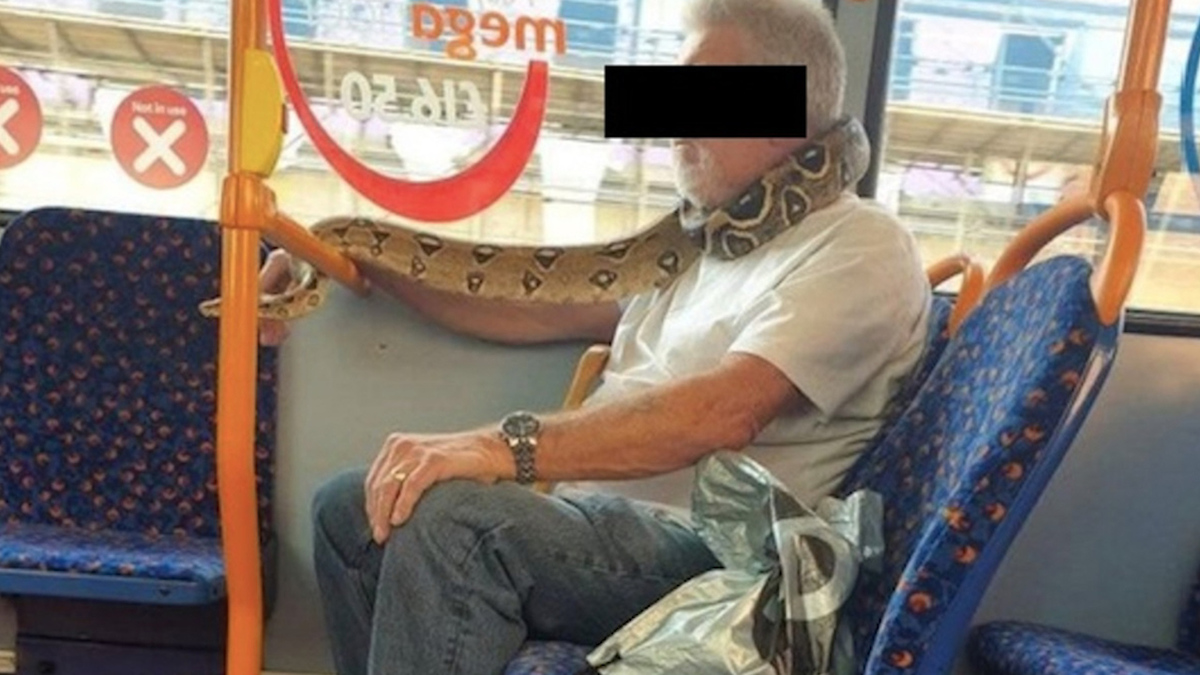 Hombre usa una serpiente 'como cubrebocas' para subirse a un autobús