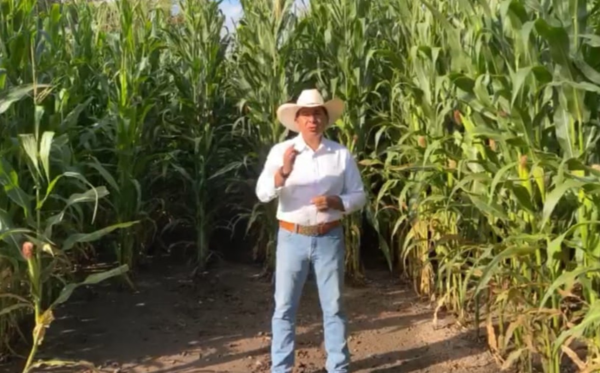 Los campesinos reprocharon que para el 2021 se elimine el financiamiento al campo.