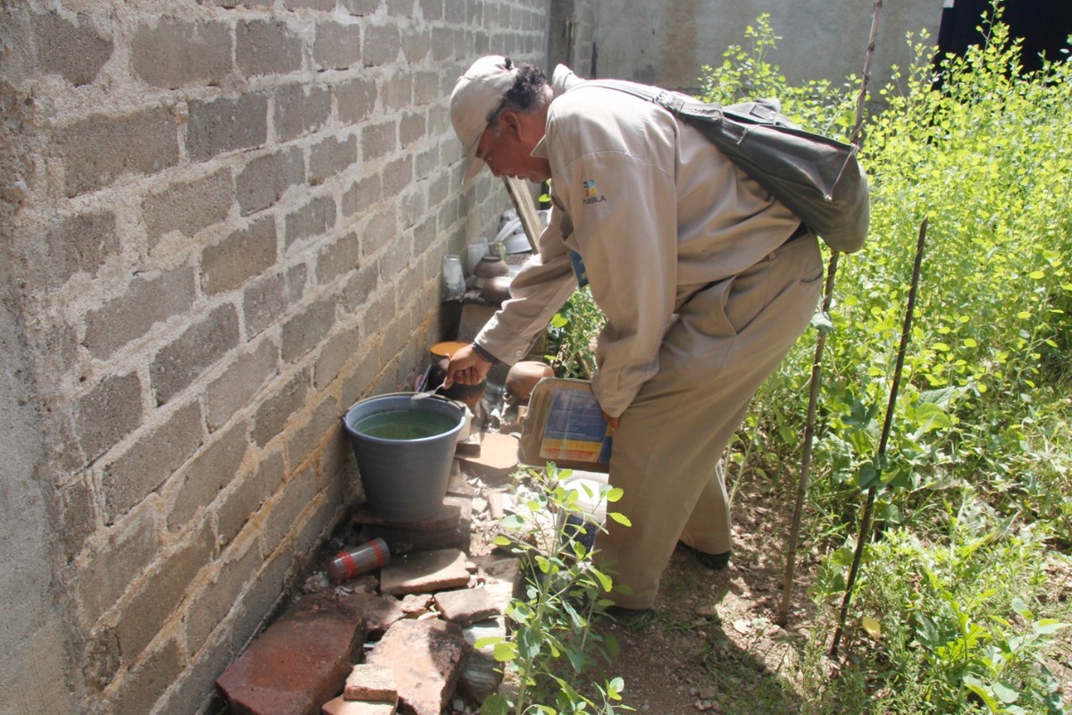 Afectados por dengue, 50% de habitantes de San Diego Chalma. (Agencia Enfoque)