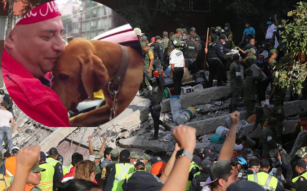 Titán, el perro de Guanajuato que rescató 26 personas tras el 19S