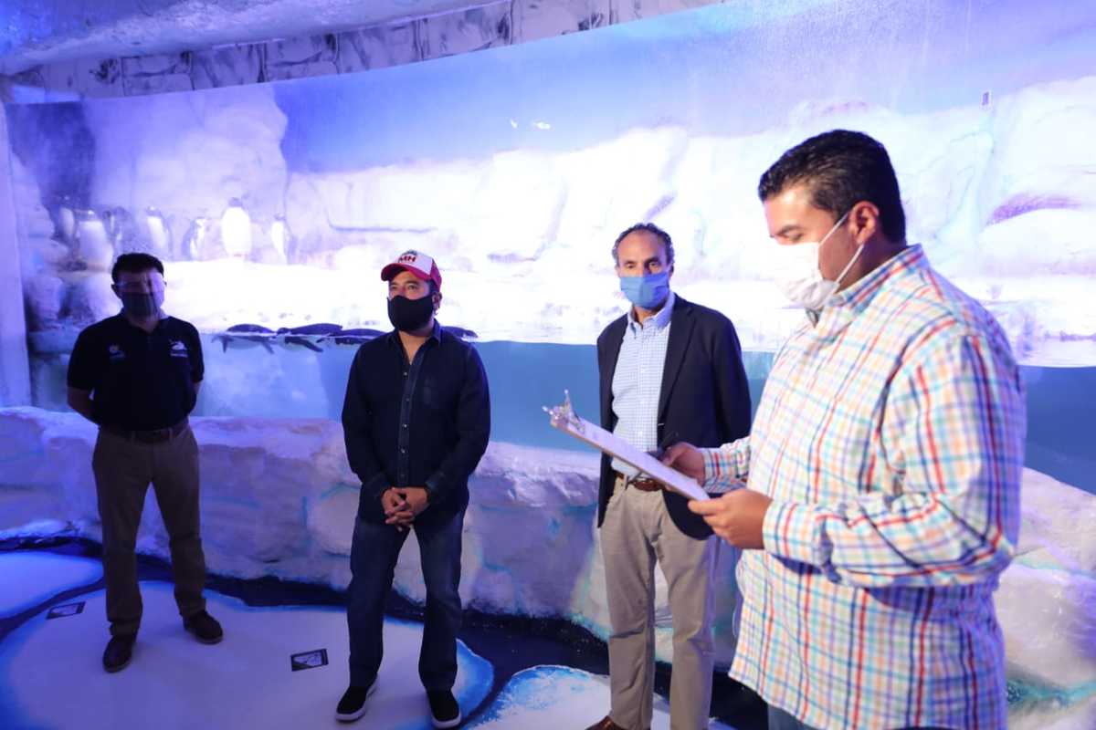 En la Miguel Hidalgo supervisan reapertura del Acuario Inbursa | Especial