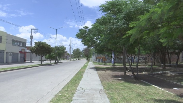 Parque en fraccionamiento Santo Domingo