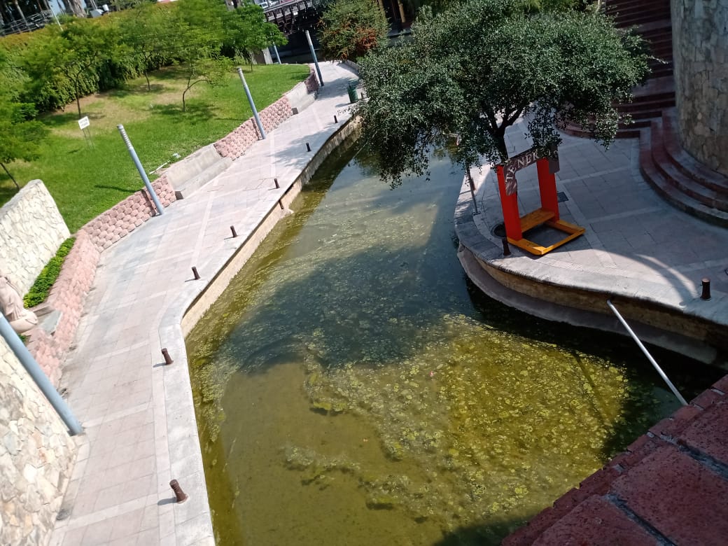 Contrario a principios de año que estaba limpio, hoy los corredores del canal también lucen con basura, ramas y hojas secas. Foto: Carolina León