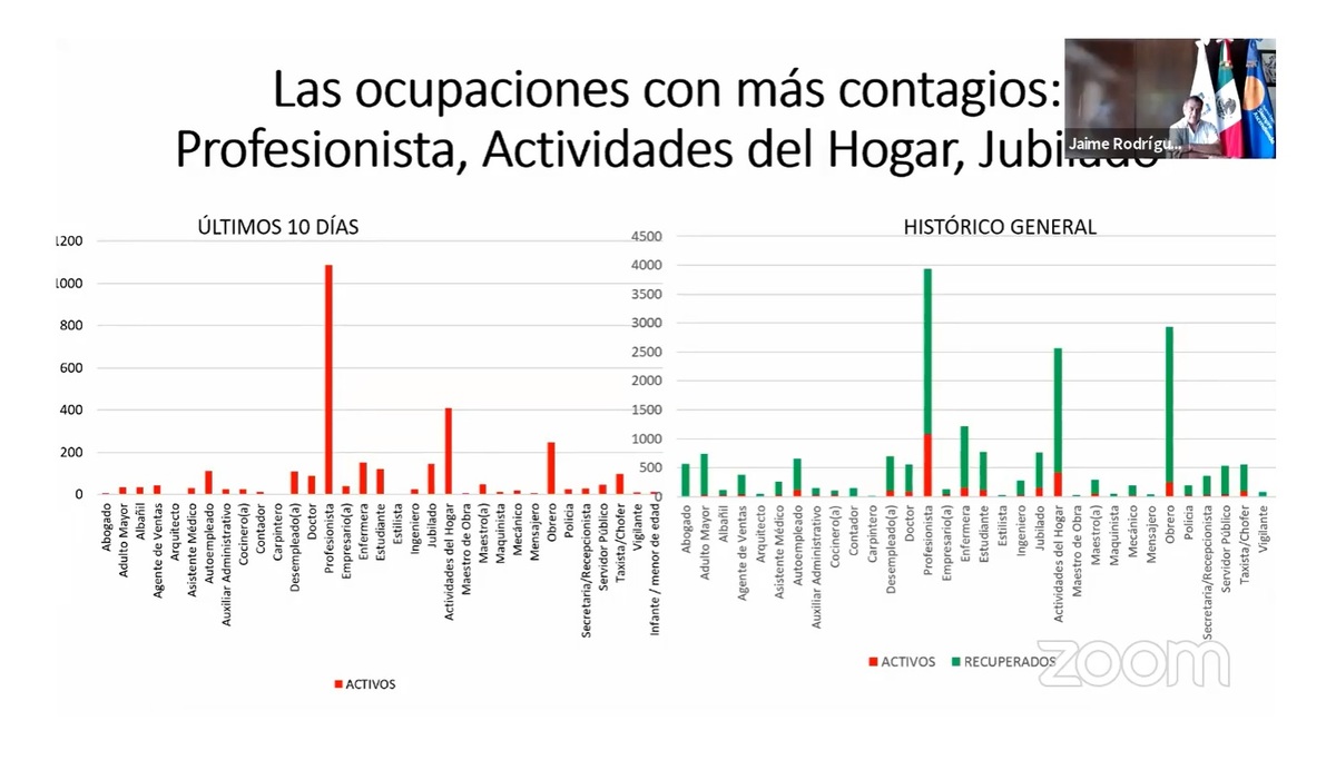 Gráfica de contagios de coronavirus por profesión en Nuevo León. Foto: Especial.