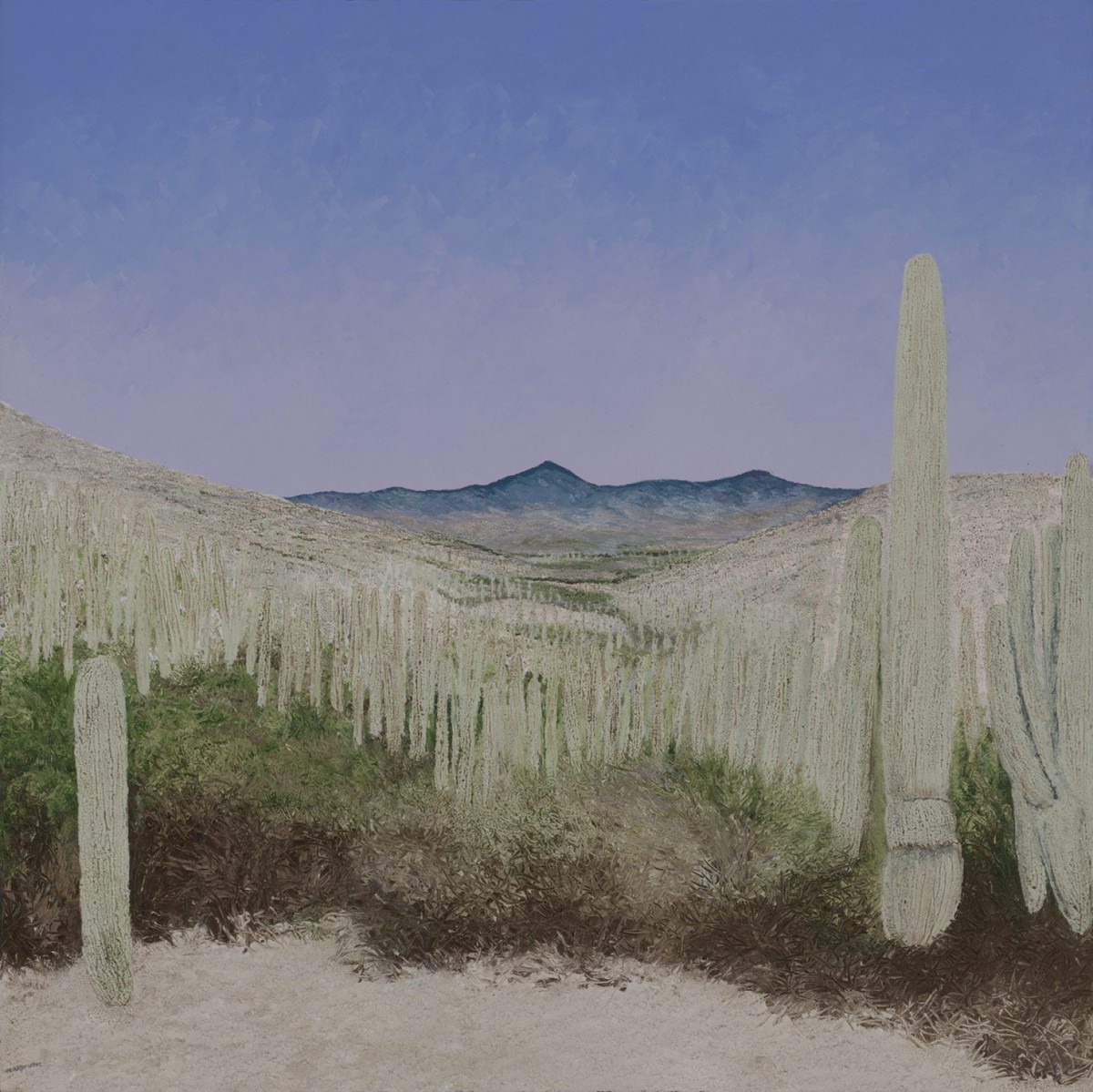 Abelardo López, "Cactáceas Tehuacán", óleo sobre lino, 120 x 120 cm, 2018.