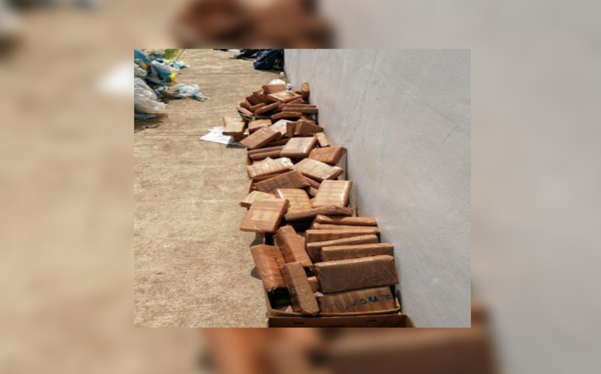 Aduanas decomisa 627 kg de cocaína en Chiapas