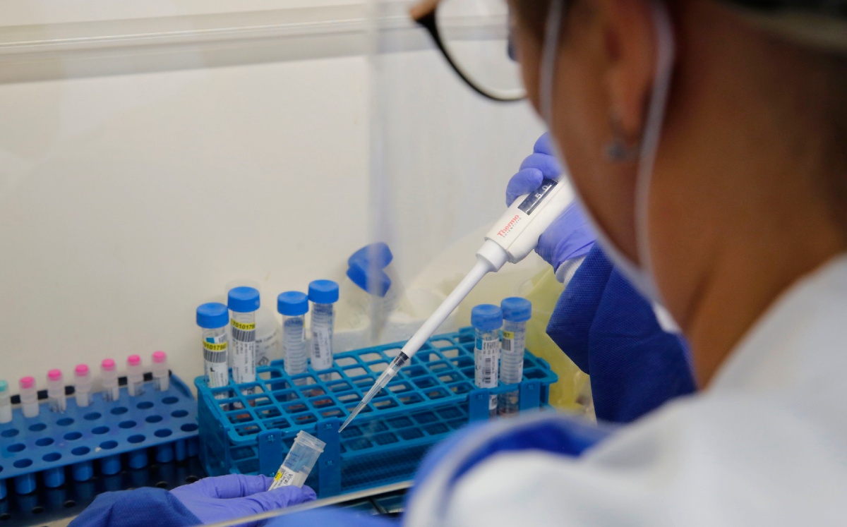 Analizan la función de bacterias contra el nuevo coronavirus. (AFP)