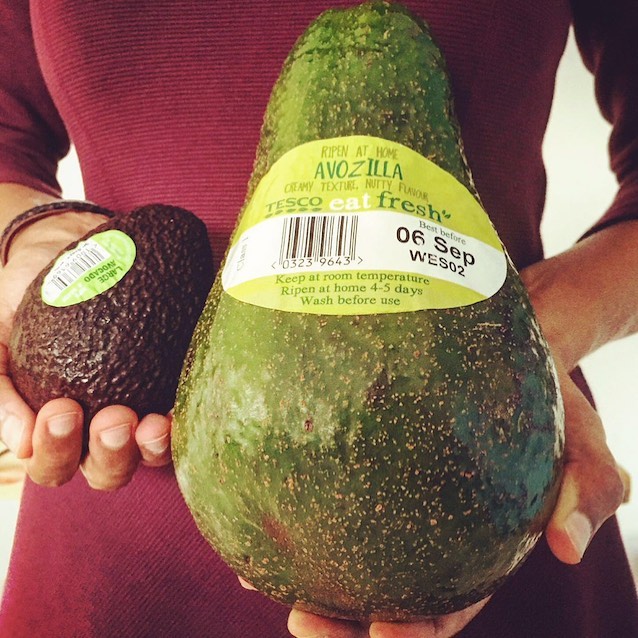 Conoce al Avozilla, el aguacate gigante. (Instagram)