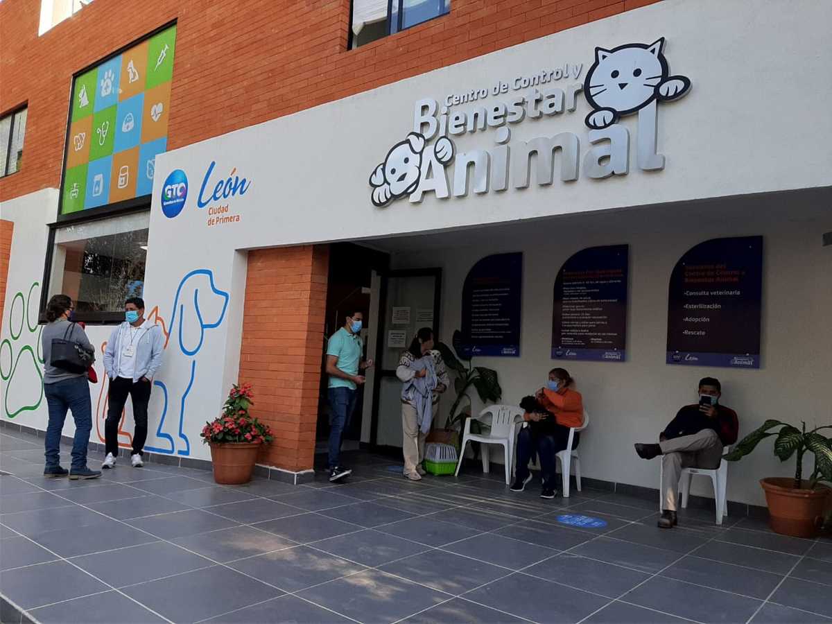 En semana de vacunación antirrábica, van 250 dosis aplicadas en León