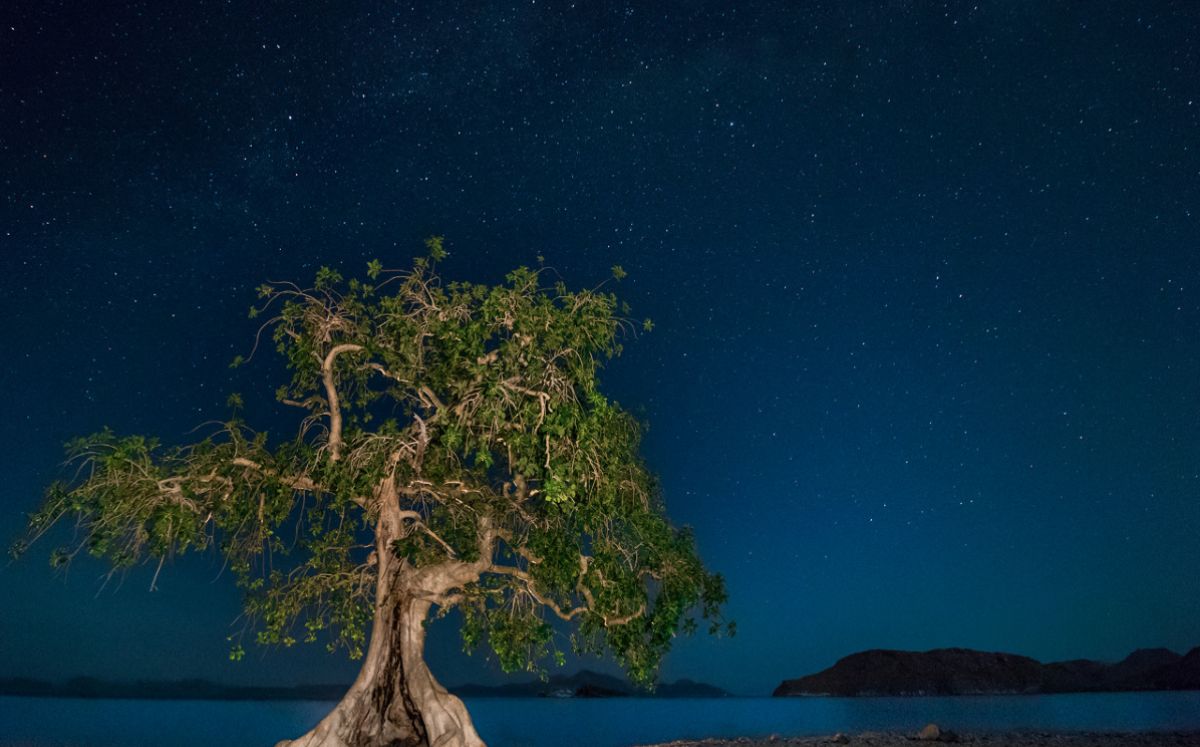 Fotografía participante en el Concurso "Centinelas del Tiempo". (José Luis Cheires)