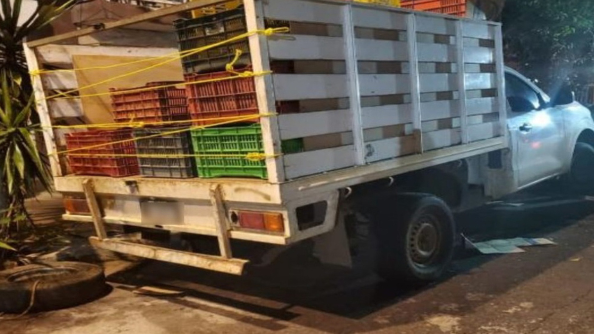 Caen siete con casi 100 kilos de mariguana en cajas de frutas y verduras en CdMx