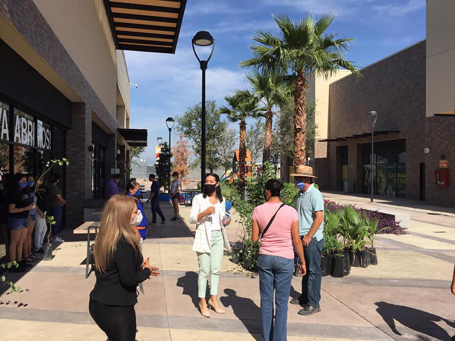 Donación de árboles en Plaza Almanara. (Especial)