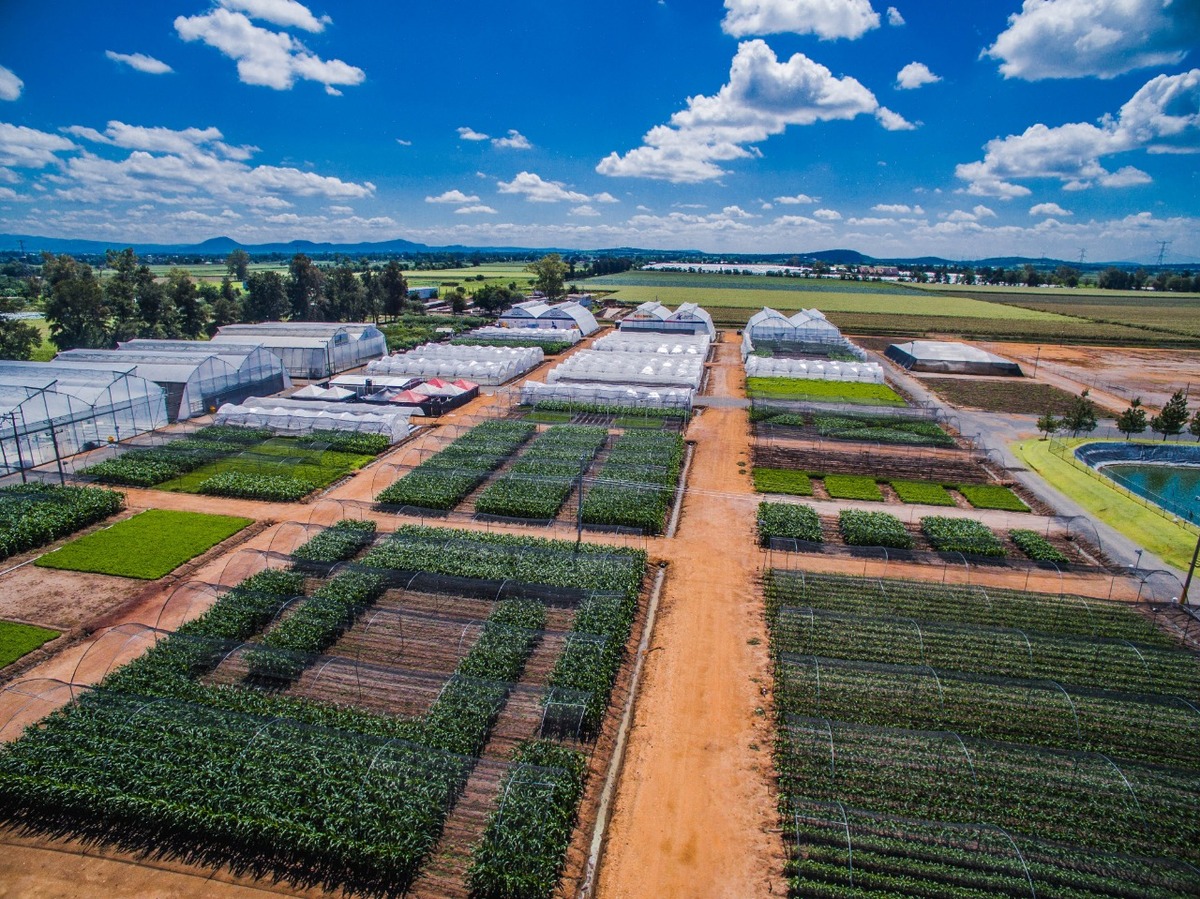 Habrá Feria Agroalimentaria presencial y virtual