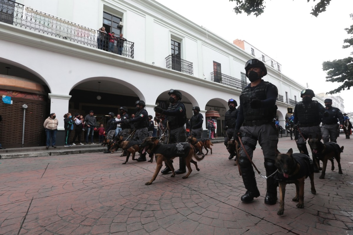 El próximo año habrá más municipios afectados. | Sergio Sánchez-Hidalgo