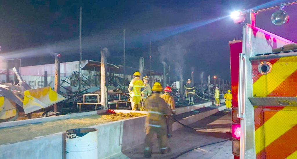 Llegaron bomberos a sofocar el incendio en Agrizar
