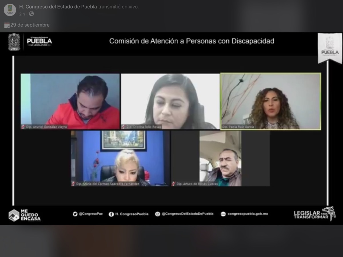 Comisión de Atención a Personas con Discapacidad en sesión virtual. (Especial)