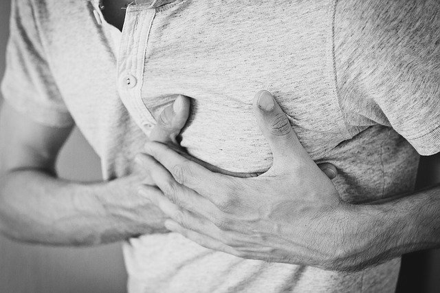 Descubren las células encargadas de reparar el corazón tras un infarto. (Pixabay)