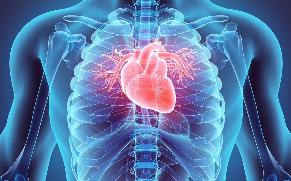 En Guanajuato hay más de 3 mil personas con enfermedades del corazón