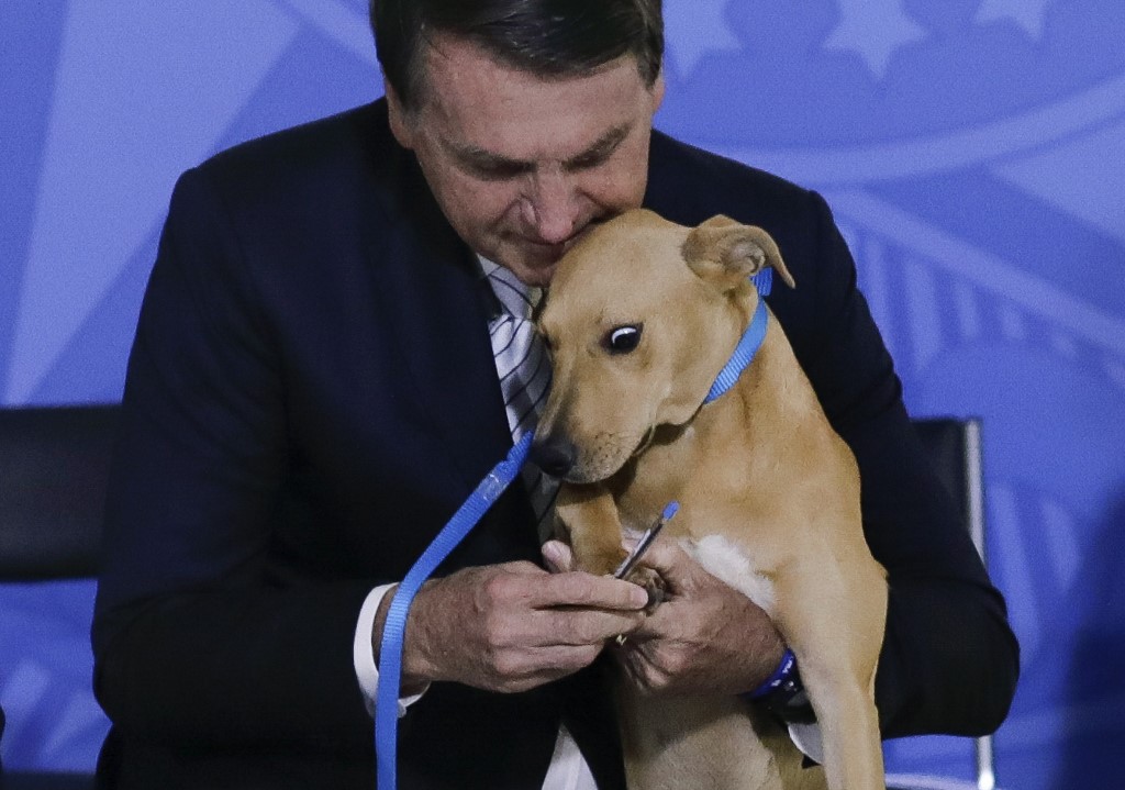 Jair Bolsonaro no estaba de acuerdo al principio por endurecer las penas por maltrato animal. (AFP)