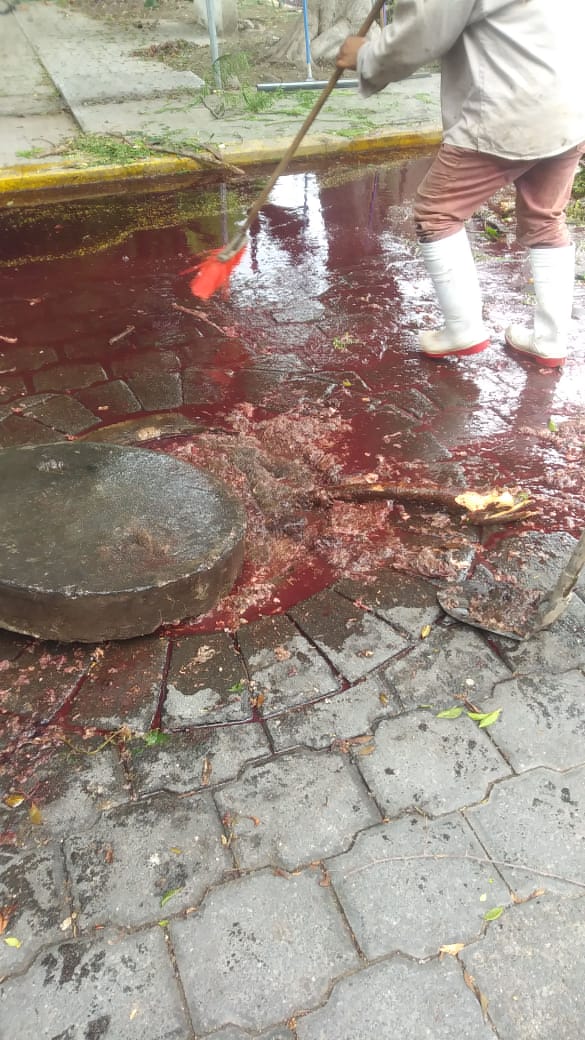 Rastro municipal vuelve a tapar drenajes. (Especial)
