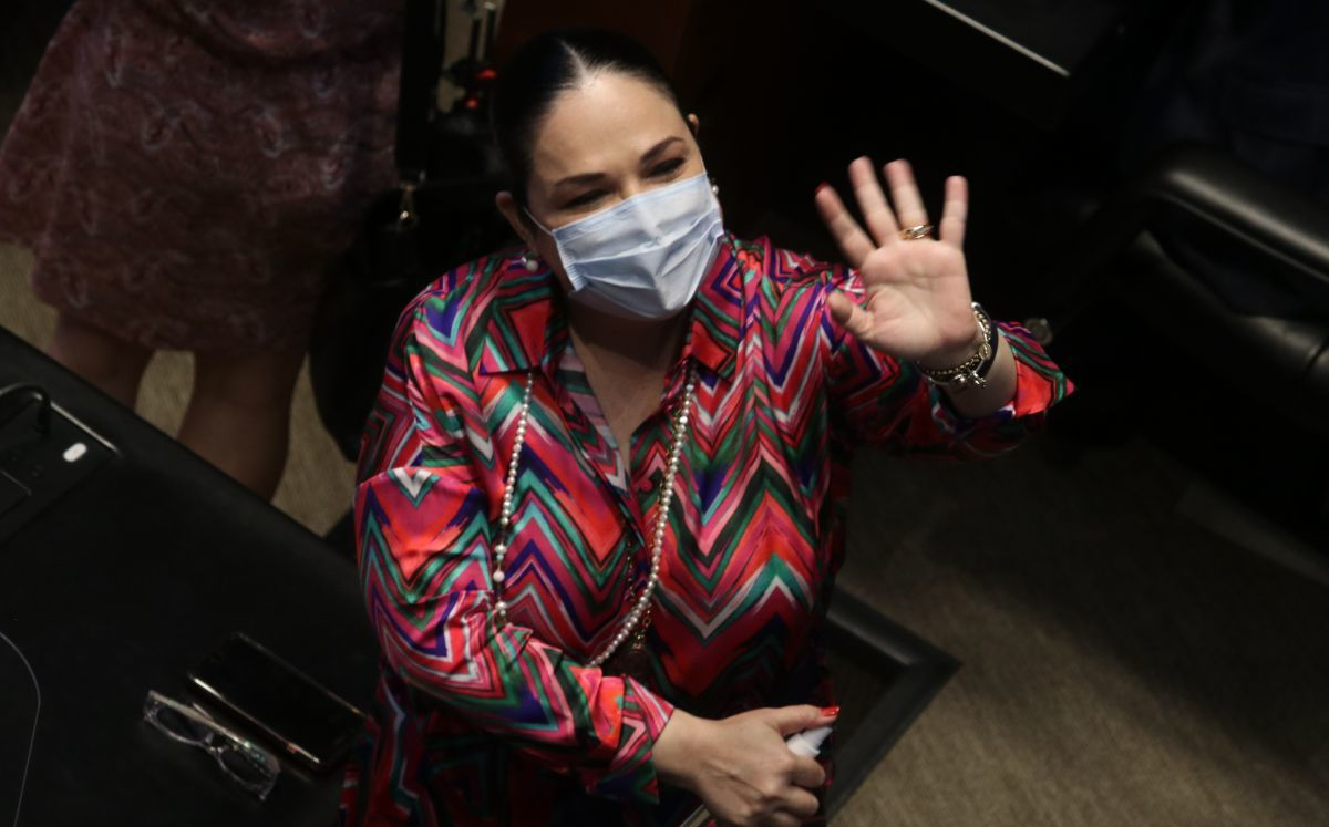 La senadora Mónica Fernández durante una de las sesiones del Senado. (Cuartoscuro)