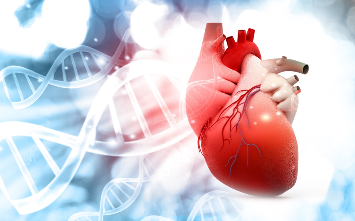 Utiliza tu corazón para llevar una vida saludable. (Shutterstock)