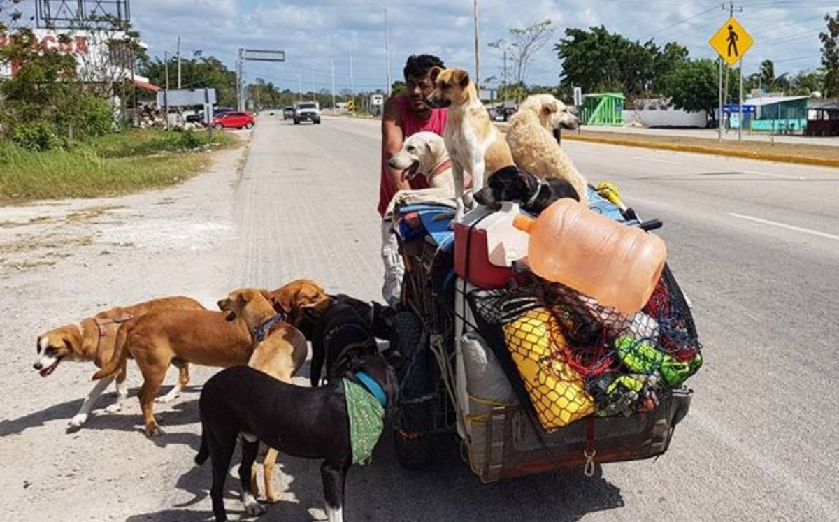 Edgardo recorre las carreteras del país con un triciclo lleno de suministros para ayudar a los canes. (Facebook: Edgardo Salvaperros)